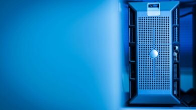 enterprise services performance review