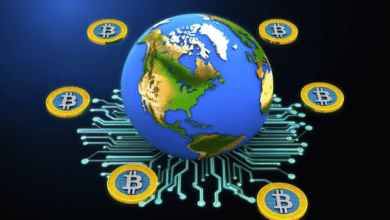 National Digital Currencies Explained